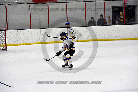 _GSP0300 (Copy)