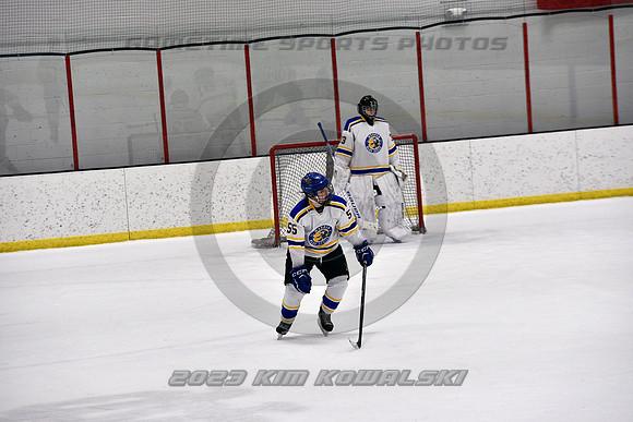 _GSP0303 (Copy)