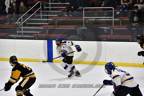 _GSP0305 (Copy)