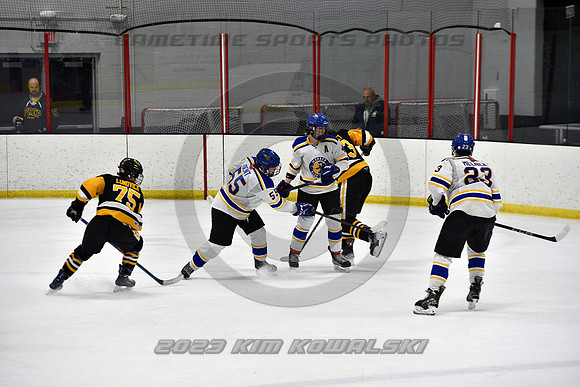 _GSP0306 (Copy)