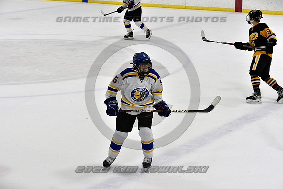 _GSP0309 (Copy)