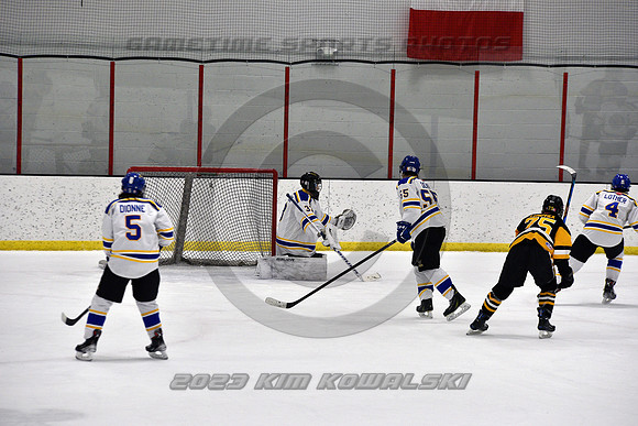 _GSP0311 (Copy)