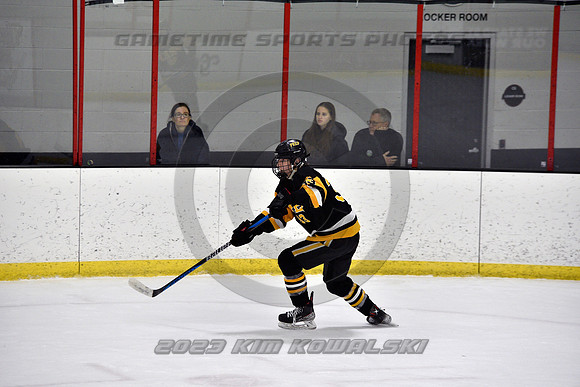 _GSP0317 (Copy)