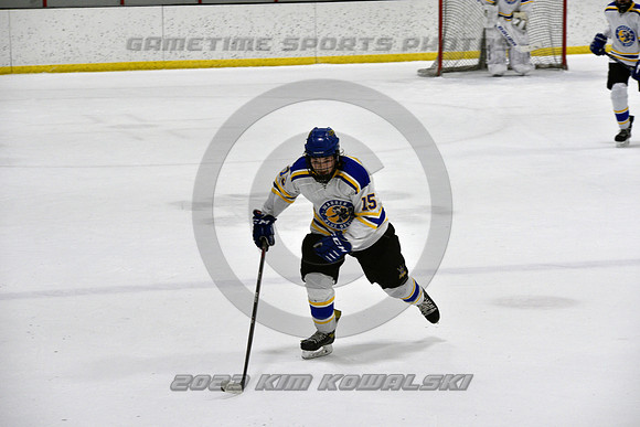 _GSP0320 (Copy)