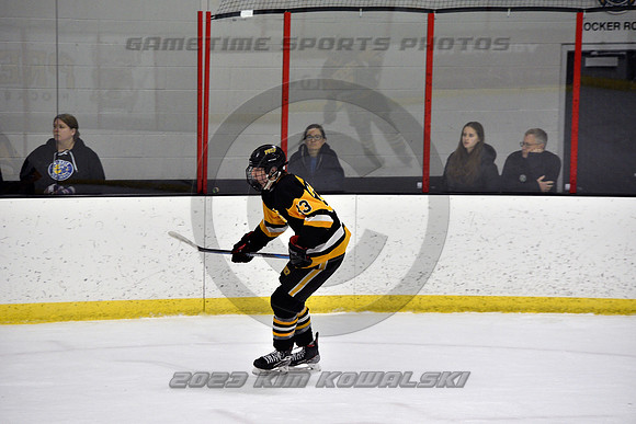_GSP0318 (Copy)