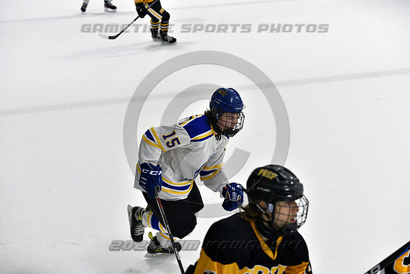 _GSP0322 (Copy)