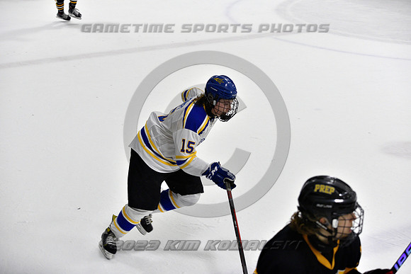 _GSP0323 (Copy)