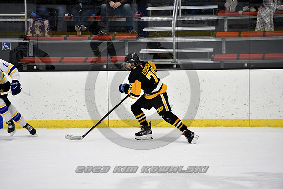_GSP0334 (Copy)