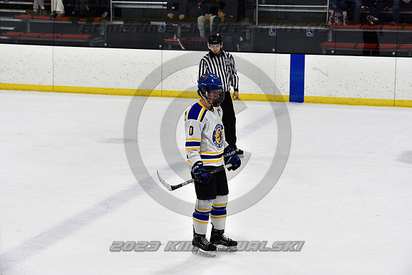_GSP0332 (Copy)