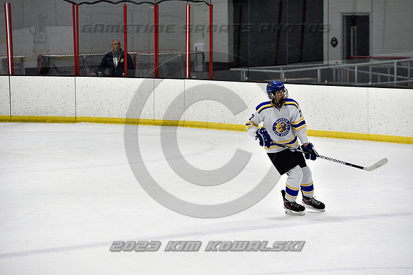 _GSP0335 (Copy)