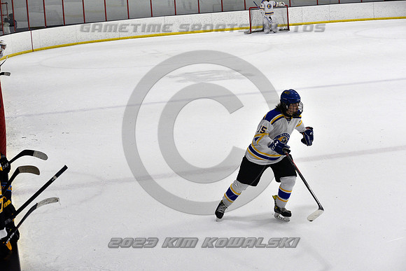 _GSP0336 (Copy)