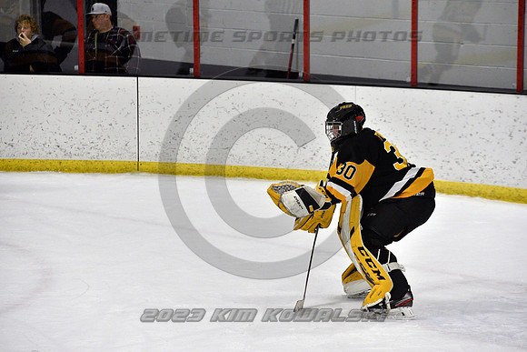 _GSP0338 (Copy)