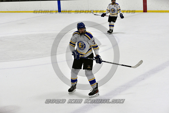 _GSP0340 (Copy)
