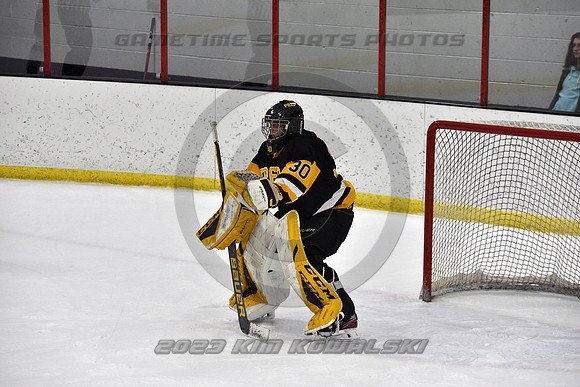 _GSP0339 (Copy)