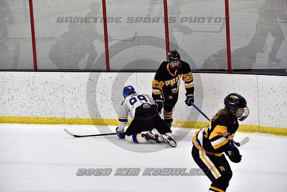 _GSP0341 (Copy)