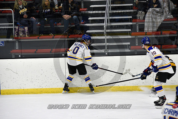 _GSP0344 (Copy)