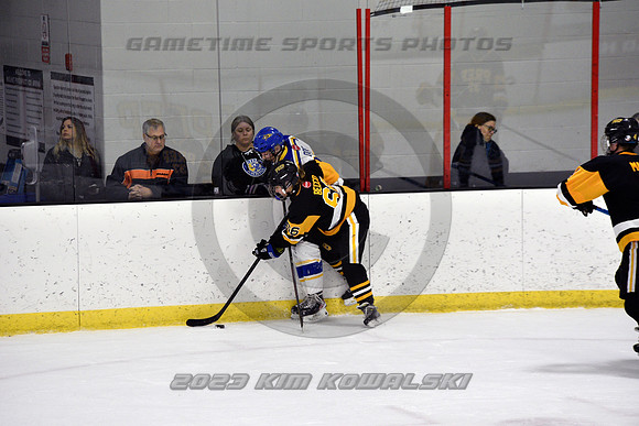 _GSP0345 (Copy)