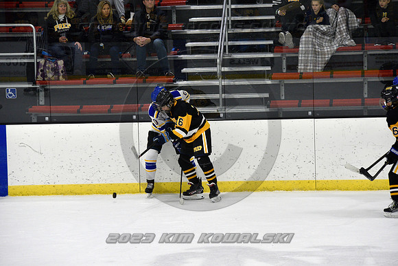 _GSP0348 (Copy)