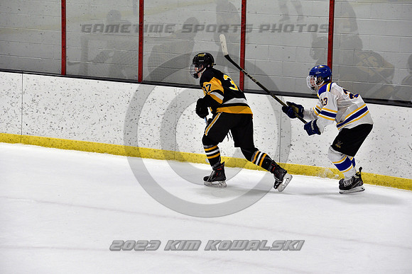 _GSP0350 (Copy)