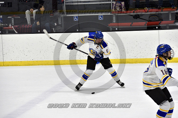 _GSP0352 (Copy)
