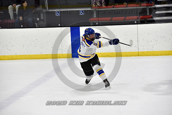 _GSP0353 (Copy)
