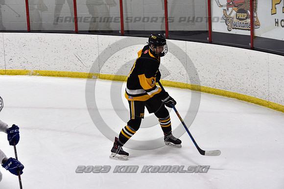 _GSP0356 (Copy)