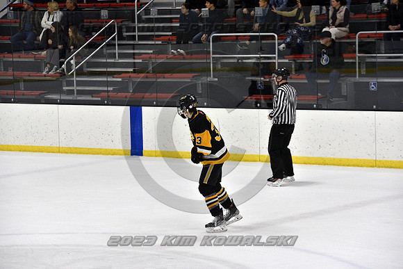 _GSP0359 (Copy)