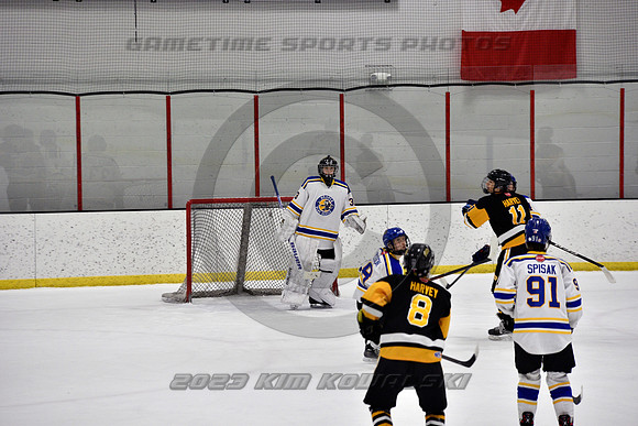 _GSP0361 (Copy)