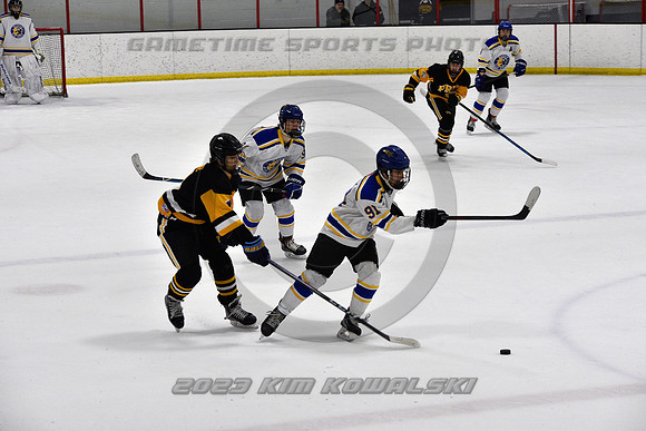 _GSP0371 (Copy)