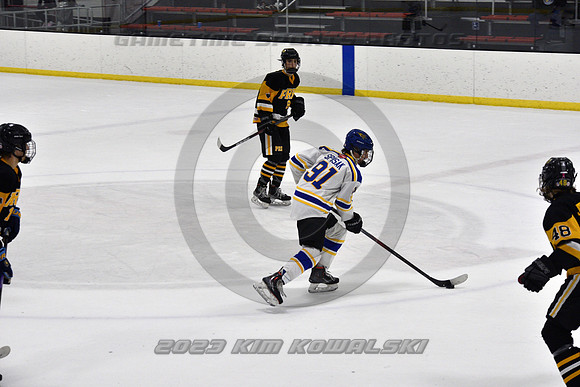 _GSP0373 (Copy)