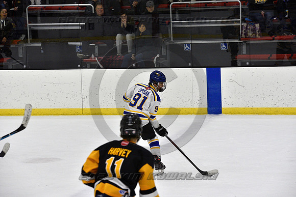 _GSP0375 (Copy)