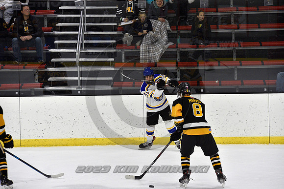 _GSP0376 (Copy)