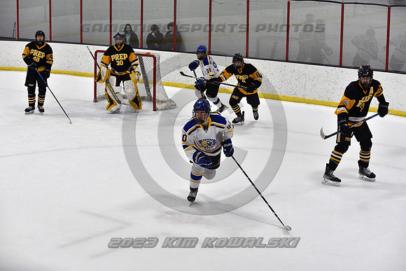 _GSP0381 (Copy)