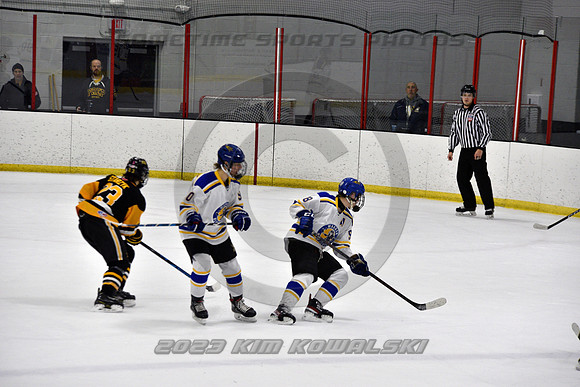 _GSP0390 (Copy)