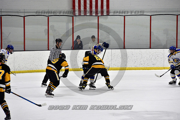 _GSP0403 (Copy)