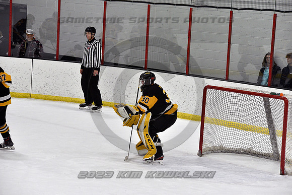 _GSP0409 (Copy)