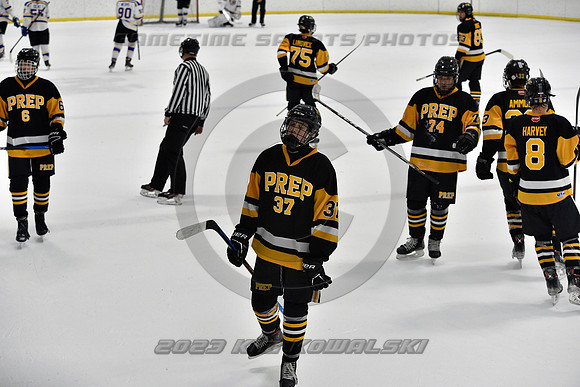 _GSP0433 (Copy)