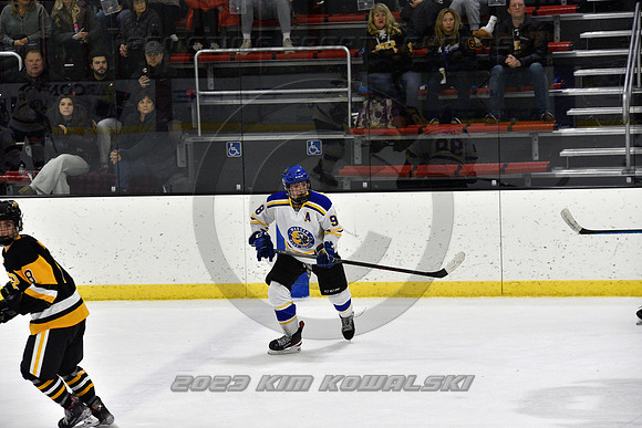 _GSP0439 (Copy)