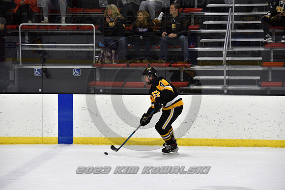 _GSP0473 (Copy)