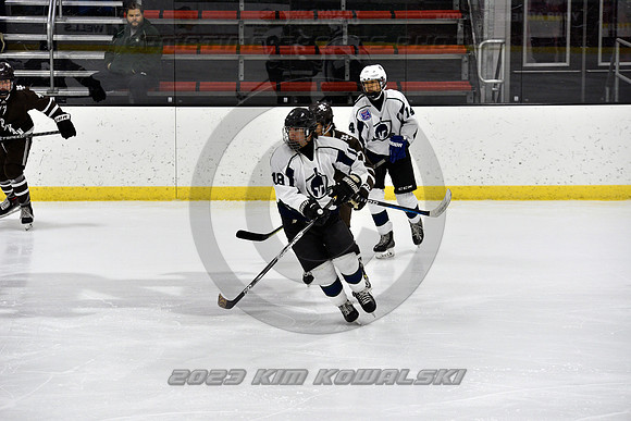 _GSP4450 (Copy)