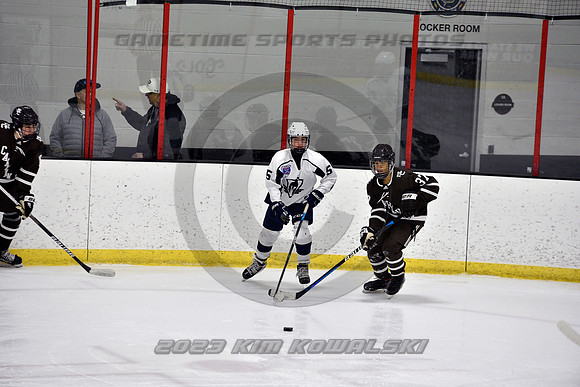 _GSP4484 (Copy)