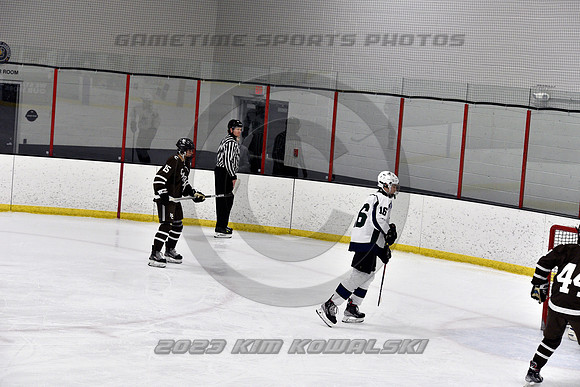 _GSP4538 (Copy)