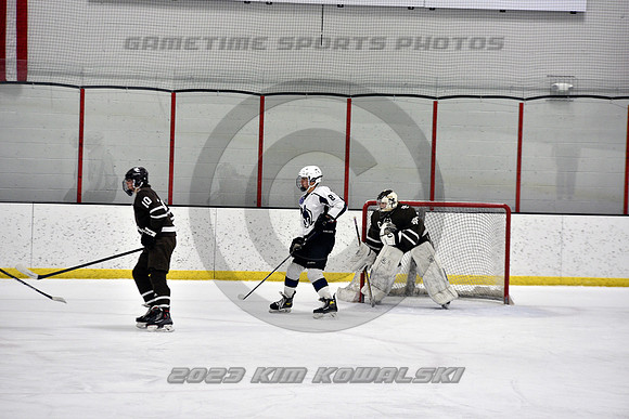 _GSP4547 (Copy)