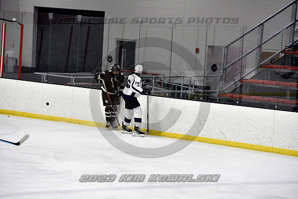 _GSP4548 (Copy)