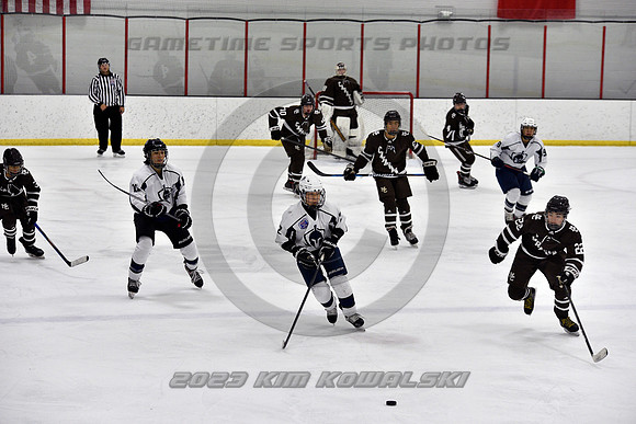 _GSP4566 (Copy)