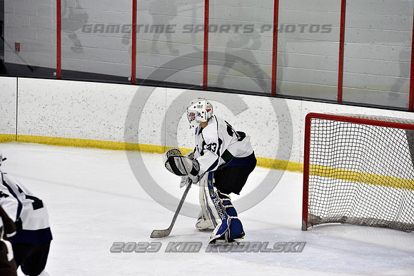 _GSP4579 (Copy)