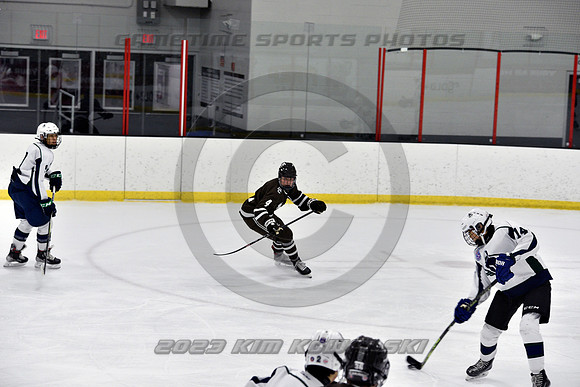 _GSP4596 (Copy)