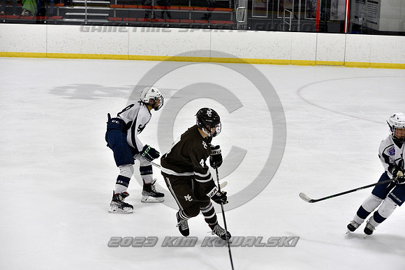 _GSP4617 (Copy)