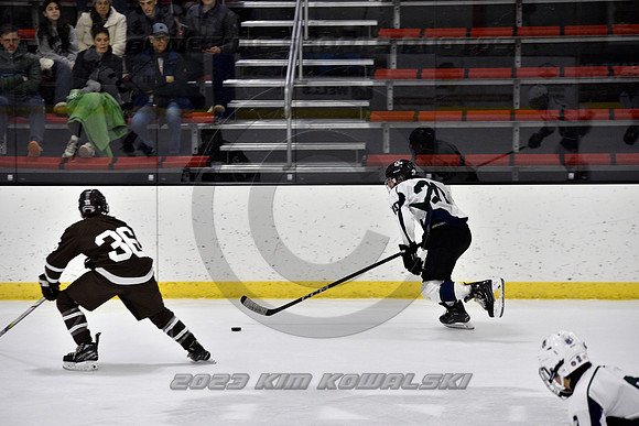 _GSP4699 (Copy)