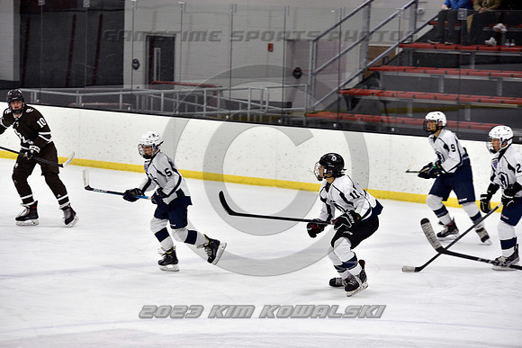 _GSP4703 (Copy)